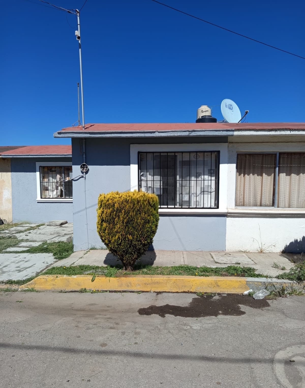 Fachada de inmueble con ventana y arbusto